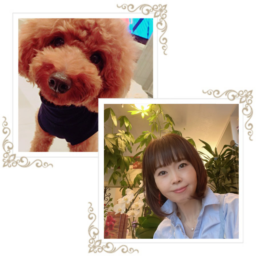 TRESOR11(トレゾア11)加納の写真